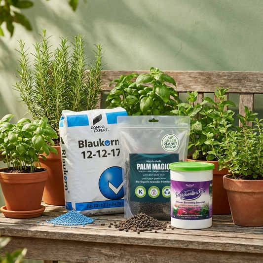 متخصص في الصحراء والأنشطة الخارجية