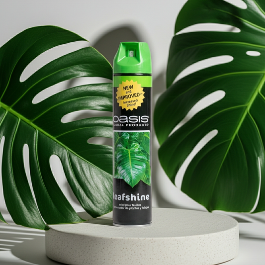 بخاخ شفاف خالي من العطور من فلورالايف ليفشاين، 600 مل