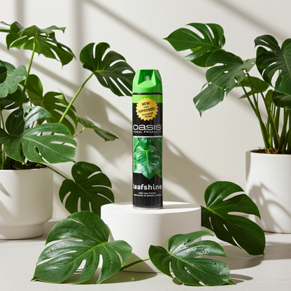 The Indoor Sanctuary Kit